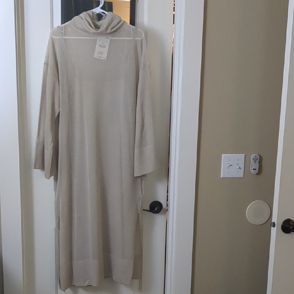 Zara Cream Turtleneck Sweater Dress